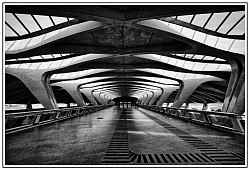 Gare Saint Exupéry. Lyon. Architecture