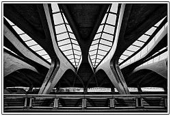 Gare Saint Exupéry. Lyon. Architecture