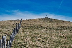 Aubrac