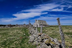 Aubrac