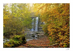 Photos automne jura