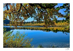 Photos automne jura