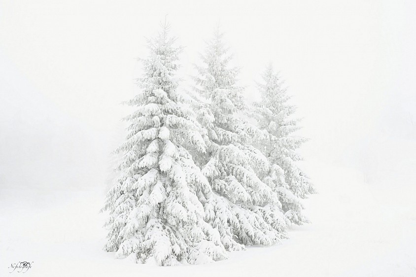 Blanc sur blanc vercors