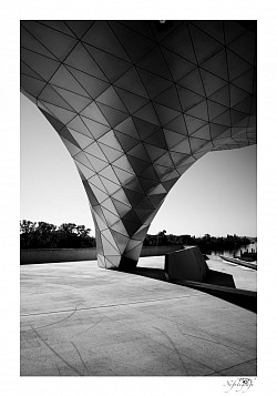 Pieds musée des confluences. Lyon. Architecture