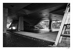 Pieds musée des confluences. Lyon. Architecture