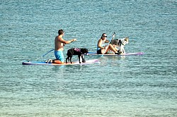 Ca passe sur un paddle