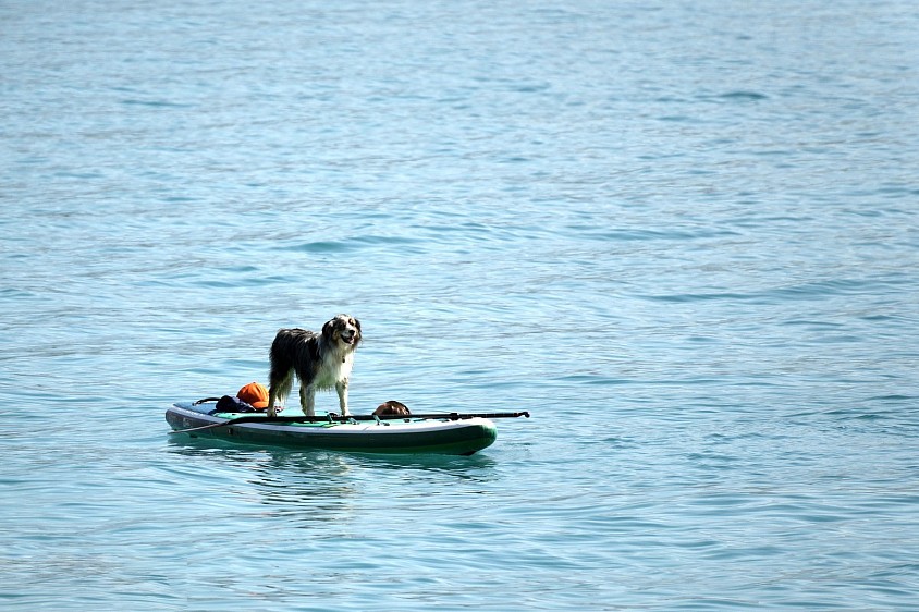Ca passe sur un paddle