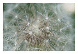 Macro et proxi