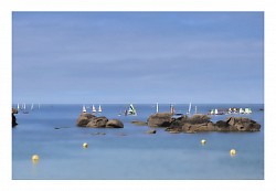 Cote d'armor